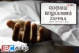 யாழில் நாக பாம்பை கைகளால் பிடித்த குருக்களுக்கு நேர்ந்த கதி