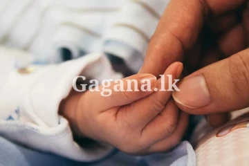 ලොවම මවිතයට පත් කරමින් සුනඛයෙකු කළ අරුම පුදුම දෙයක් ඉතිහාසගත වෙයි.