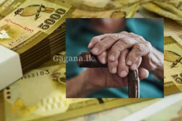 විශ්‍රාමිකයින්ගේ වැටුප් විෂමතාවට මොකද වෙන්නේ?. නව රජය කරන්න යන දෙය මෙන්න..