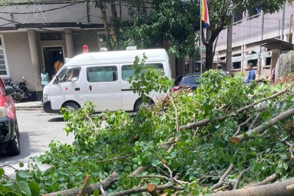 வைத்தியசாலை ஆம்புலன்ஸ் மீது விழுந்த பாரிய மரக்கிளை | Tree Branch Fell On A Badulla Hospital Ambulance