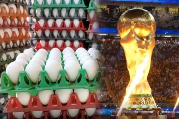 FIFA கால்பந்து உலக கோப்பை! கத்தாருக்கு தமிழகத்தில் இருந்து செல்லும் 1.5 கோடி முட்டைகள்