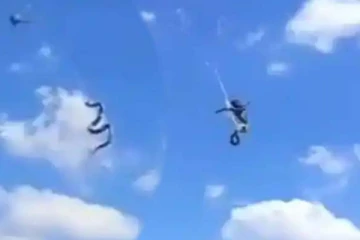 சிலந்தியின் வலைக்குள் சிக்கிய பாம்பின் பரிதாப நிலை! வைரல் காட்சி இதோ