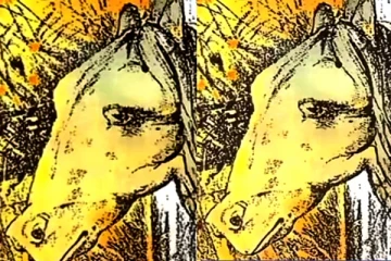 ஆழ்மன ரகசியங்களை கண்டுபிடிக்க ஒரு Test- படத்தில் தெரிவது என்ன?