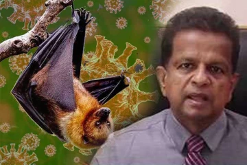 இலங்கையில் நிபா வைரஸால் பாதிக்கப்பட்ட சிறுவர்கள் - தெளிவுபடுத்திய வைத்தியர்