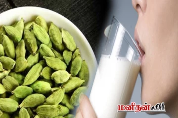 தூங்க முதல் பாலில் ஏலக்காய் சேர்த்து குடித்தால் என்ன பலன்?