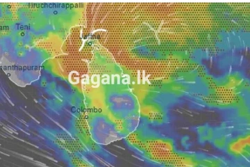 ඉදිරි කාලය රටටම අවදානම්... විශේෂ නිවේදනයක් නිකුත් කරයි...