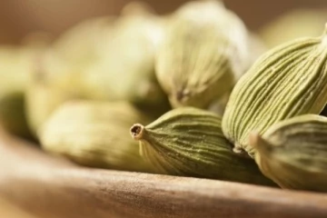 தினமும் ஒரு ஏலக்காயை வாயில் போட்டு  மென்று சாப்பிடால் என்னென்ன அற்புதம் உடலில் நடக்கும் தெரியுமா?