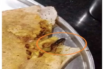 மசால் தோசையில் கிடந்த கரப்பான் பூச்சி; ஆத்திரமடைந்த கஸ்டமர் - முழித்த ஊழியர்கள்!