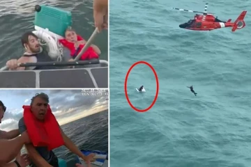 ஐஸ் பெட்டியில் ஒட்டிக் கொண்டு புயல் வீசிய கடலில் உயிர் தப்பிய நபர்! சவாலான மீட்பு வீடியோ