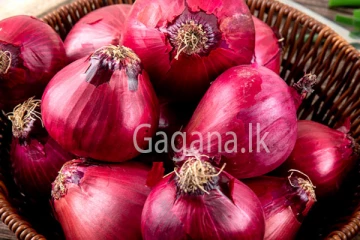 සාධාරණ මිලකට ළූණු ගන්න ජනතාවට දෙන අලුත්ම සහනය මෙන්න.