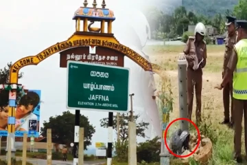 யாழில் கோர விபத்து - கம்பத்துடன் மோதி இளைஞன் உயிரிழப்பு!