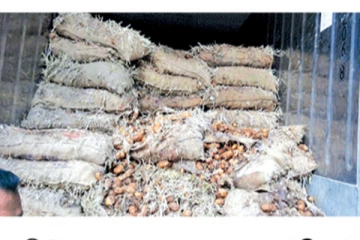 மனித பாவனைக்கு தகுதியற்ற 40,000 Kg உருளைக்கிழங்குகள் மீட்பு