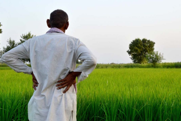 விவசாயக் குடும்பங்களுக்கு இலவச யூரியா! அமைச்சர் வெளியிட்ட தகவல் | Free Urea For Farming Families
