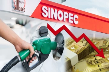 யாழில் எரிபொருள் விலைக்கழிவுடன் விற்பனை - செய்திகளின் தொகுப்பு (Video)