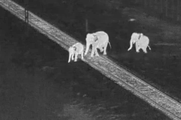 AI Technology மூலம் ரயில் தண்டவாளங்களில் யானைகளின் உயிர்களை காக்கும் தமிழ்நாடு