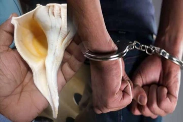 யாழ். விமான நிலையத்தில் வலம்புரியுடன் ஒருவர் கைது