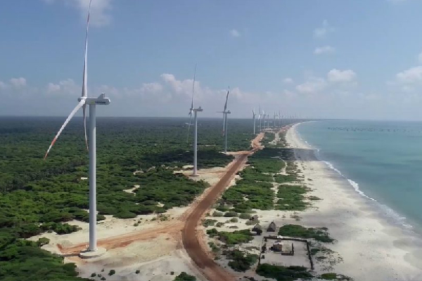 மன்னார் காற்றாலை விவகாரம்: அரசிடம் விடுக்கப்பட்ட கோரிக்கை | Mannar Wind Farm Issue Request Made To The Gover