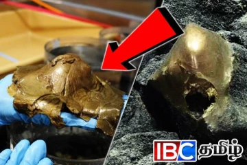 அமெரிக்காவில் கண்டெடுக்கப்பட்ட விசித்திர தங்க உருண்டை