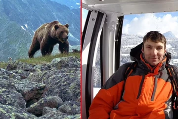 நண்பர்கள் கண் முன்னே சுற்றுலாப்பயணியை கொன்று தின்ன கரடி: ஒரு அதிர்ச்சி சம்பவம்