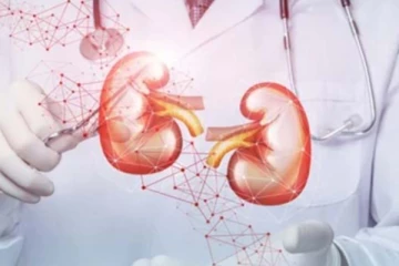 சிறுநீரக பிரச்சினையை சரிசெய்ய வேண்டுமா? இந்த 5 பழங்களை கட்டாயம் எடுத்துக்கோங்க