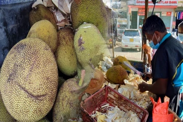 நாட்டில் மரக்கறி விலை அதிகரிப்பால் மக்கள் எடுத்த முடிவு! (Video)