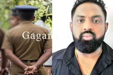 හරක් කටාව CIDයෙන් පන්නන්න හැදූ පොලිස් සැරයන් කොටු කරගත් හැටි.