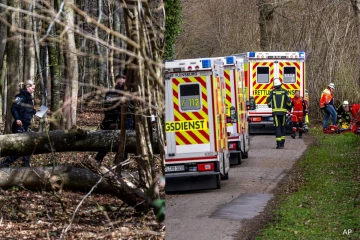 ஜேர்மனியில் பண்டிகை நாளில் மரம் விழுந்ததில் குழந்தை உட்பட மூவர் பலி