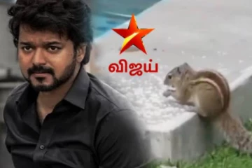 விஜய்யை அவமானப்படுத்திய விஜய் தொலைக்காட்சி.. வீடியோவை பார்த்து கலாய்த்து தள்ளும் நெட்டிசன்கள்