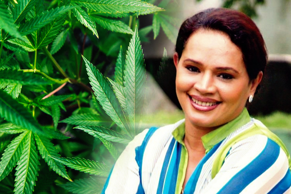 “நீங்கள் கஞ்சாவை ஊட்டப் பார்க்கின்றீர்கள்\