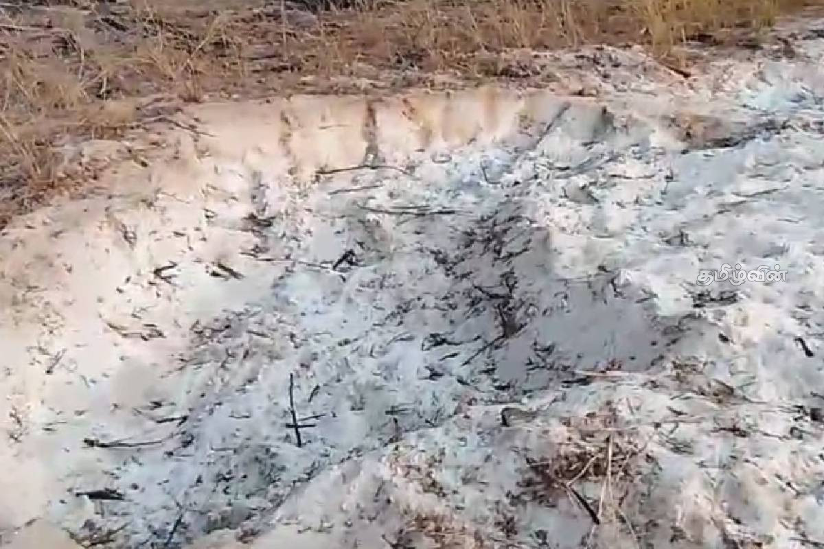 சட்டவிரோத மணல் அகழ்வினால் வயல் நிலங்கள் சேதமாக்கப்படுவதாக விவசாயிகள் குற்றச்சாட்டு | Farmers Complain Illegal Sand Mining சட்டவிரோத மணல் அகழ்வினால் வயல் நிலங்கள் சேதமாக்கப்படுவதாக விவசாயிகள் குற்றச்சாட்டு | Farmers Complain Illegal Sand Mining