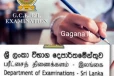සාපෙළ ප්‍රතිඵල නිකුත් වෙයි... අනිවාර්යයෙන්ම විභාගය ලියූ සියලු සිසුන් සැලකිය යුතුම දේ මෙන්න...