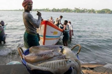 இலங்கையில் கிழக்கு மீனவர்களுக்கு அடித்த அதிர்ஷ்டம்!
