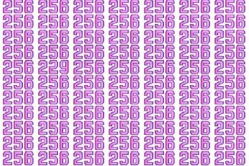 Optical illusion: கழுகுப் பார்வையா உங்களுக்கு? இதில் 229ஐ கண்டுபிடிங்க