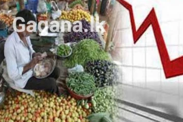 හැමෝම කතාවෙන ලංකාවේ ආර්ථිකයට මොකද වුණේ? මේ වසරේදී මෙහෙම දෙයක්..