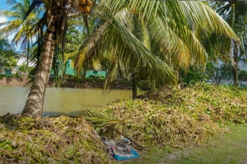 ඇල මාර්ග 31ක් කඩිනමින් ප්‍රතිසංස්කරණය කිරීමට රජයේ තීරණයක්