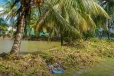 ඇල මාර්ග 31ක් කඩිනමින් ප්‍රතිසංස්කරණය කිරීමට රජයේ තීරණයක්