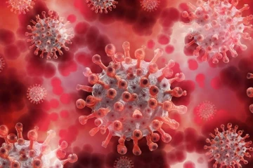 கோவிட் வைரஸின் மற்றுமொரு புதிய மாறுபாடு கண்டுப்பிடிக்கப்பட்டது! - வெளியாகியுள்ள தகவல்