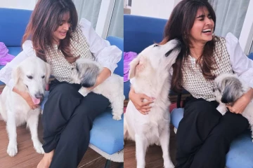 புதிய ஹேர் ஸ்டைலில் கலக்கும் புன்னகை அரசி சினேகா