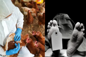 மக்களே கவனம் - முதல்முறை மனிதரின் உயிரைப் பறித்த பறவைக் காய்ச்சல்