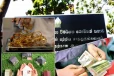 சொத்து விவர அறிக்கைகளை உரிய நேரத்தில் சமர்ப்பிக்காதவர்களுக்கு அரசாங்கம் வழங்கியுள்ள வாய்ப்பு