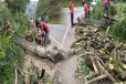 ஹட்டன் - கொழும்பு பிரதான வீதியில் மரம் விழுந்து போக்குவரத்து தடை