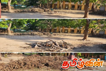 அகற்றப்படாத மரக்கிளைகளால் பெரிதும் பாதிப்படைந்துள்ள மாணவர்கள்