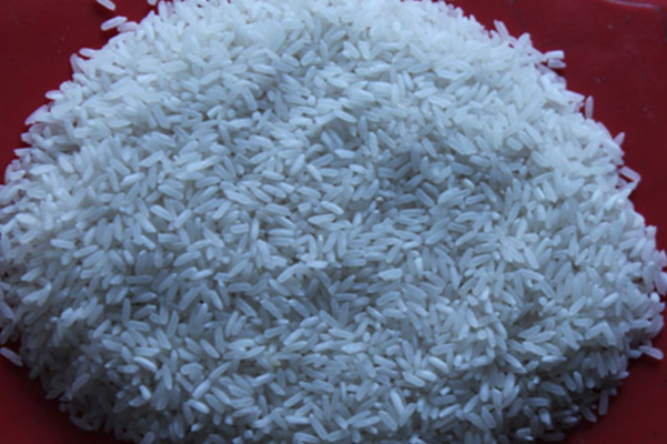 ஐப்பசி பௌர்ணமி நாளின் சிறப்பு; சிவனுக்கு அன்னாபிஷேகம் இன்று! | Specialness Of Aippasi Poornami Day