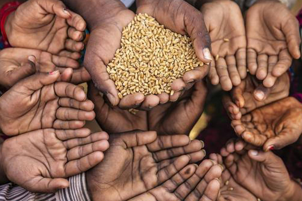 இலங்கைக்காக சர்வதேசத்திடம் உதவியை கோரும் ஐக்கிய நாடுகள் சபை! | Un Appeals For Over Us47 Million