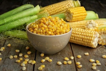 இலங்கைக்கு பாரிய தொகை விதை சோளம் தொகுதியை தருவிக்க நடவடிக்கை