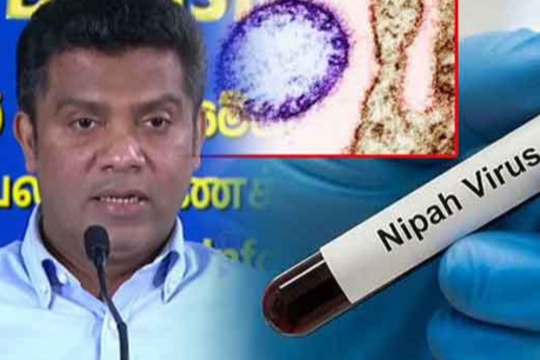இந்தியாவில் தீவிரம் ;நிபா வைரஸ் தொடர்பில் இலங்கை சுகாதாரத் துறை விசேட அவதானம்! | Sri Lankan Health Department Alert Nipah Virus