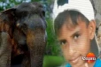 වන අලි පහරින් දරුවා මරුට