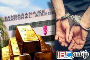 பல மில்லியன் பெறுமதியான தங்க பிஸ்கட்டுகளுடன் கட்டுநாயக்கவில் சிக்கிய ஊழியர்