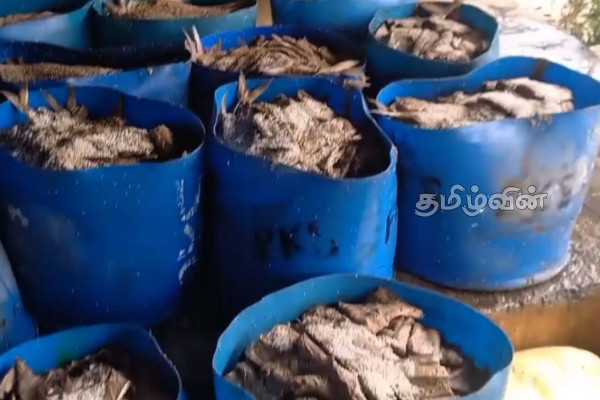 மூதூரில் 1,500 கிலோகிராம் அழுகிய மீன்கள் மீட்பு- தீவிரப்படுத்தப்படும் விசாரணை | 1 500 Kilograms Of Rotten Fish Recovered In Muttur