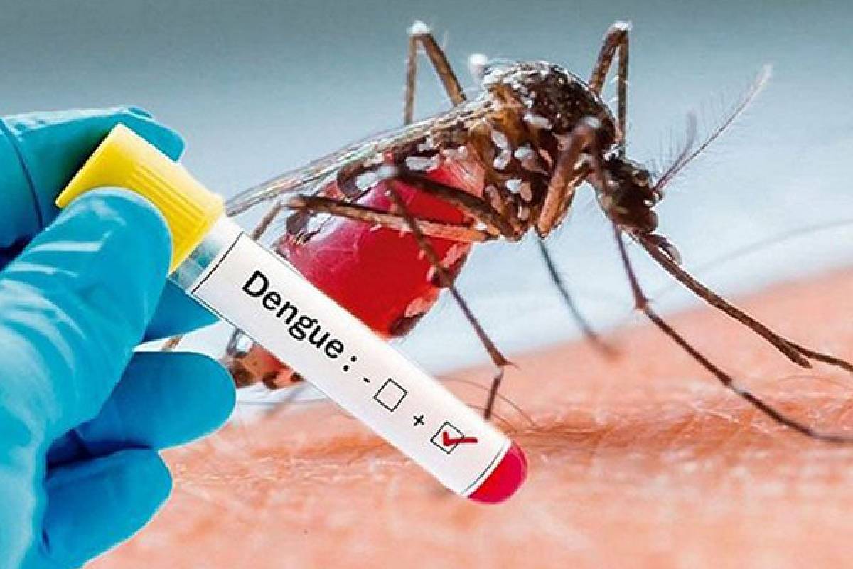 டெங்கு ஒழிப்பு நடவடிக்கைகளுக்கு ஆலயங்கள் ஒத்துழைப்பு வழங்குவதில்லை | Temples Do Not Cooperate With Dengue Eradication டெங்கு ஒழிப்பு நடவடிக்கைகளுக்கு ஆலயங்கள் ஒத்துழைப்பு வழங்குவதில்லை | Temples Do Not Cooperate With Dengue Eradication